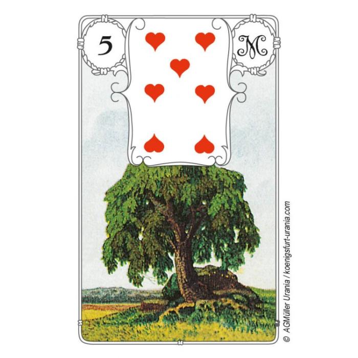 AGM Mlle Lenormand - Blue Owl