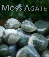 Regnbågsvävar Mossagat - Moss Agate