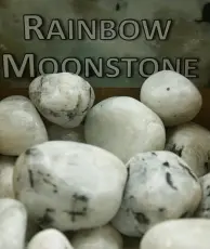 Mineralienfachhandel Regnbågsmånsten - Rainbow Moonstone