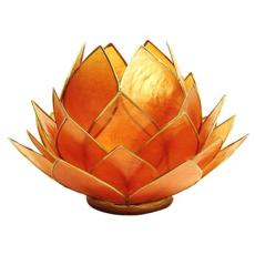 Regnbågsvävar Stor lotusblomma för värmeljus, orange